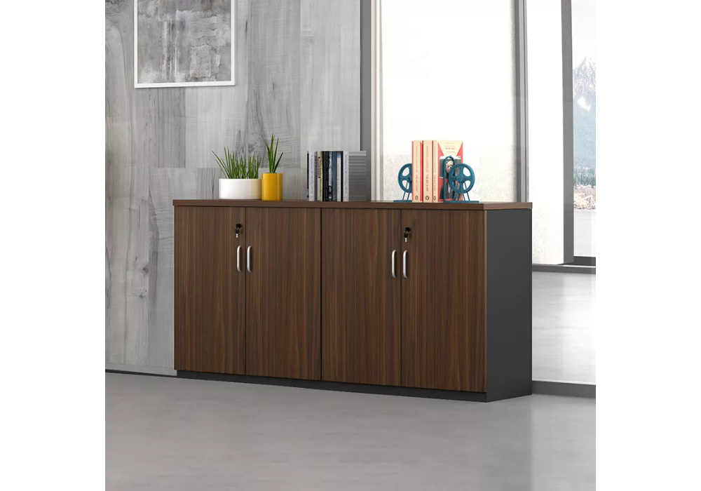 Tủ Đựng Hồ Sơ Nhỏ TMN-13